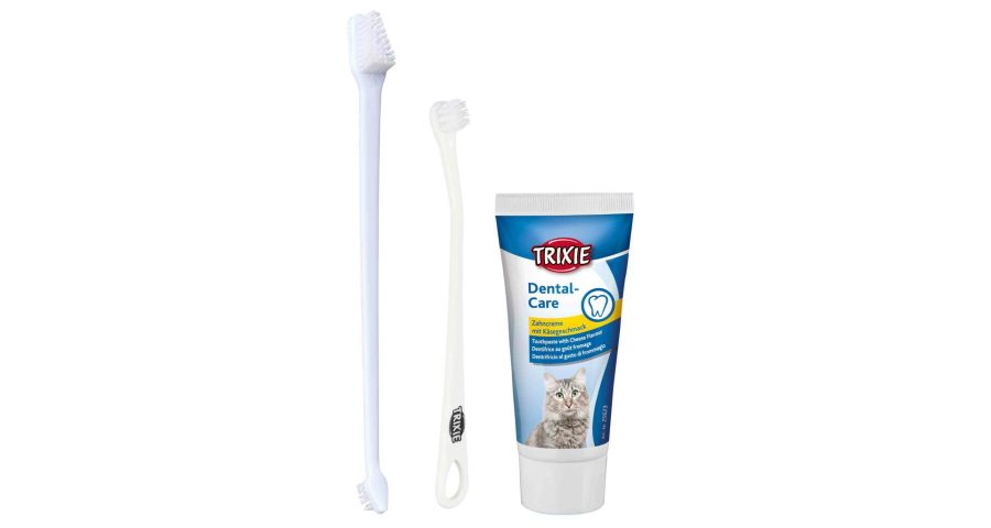 Sada dentálnej hygieny pre mačky (pasta so syrovou príchuťou 50g, dve zubné kefky)