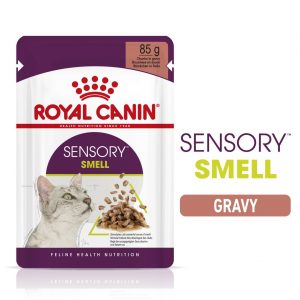 FHN Sensory Smell gravy