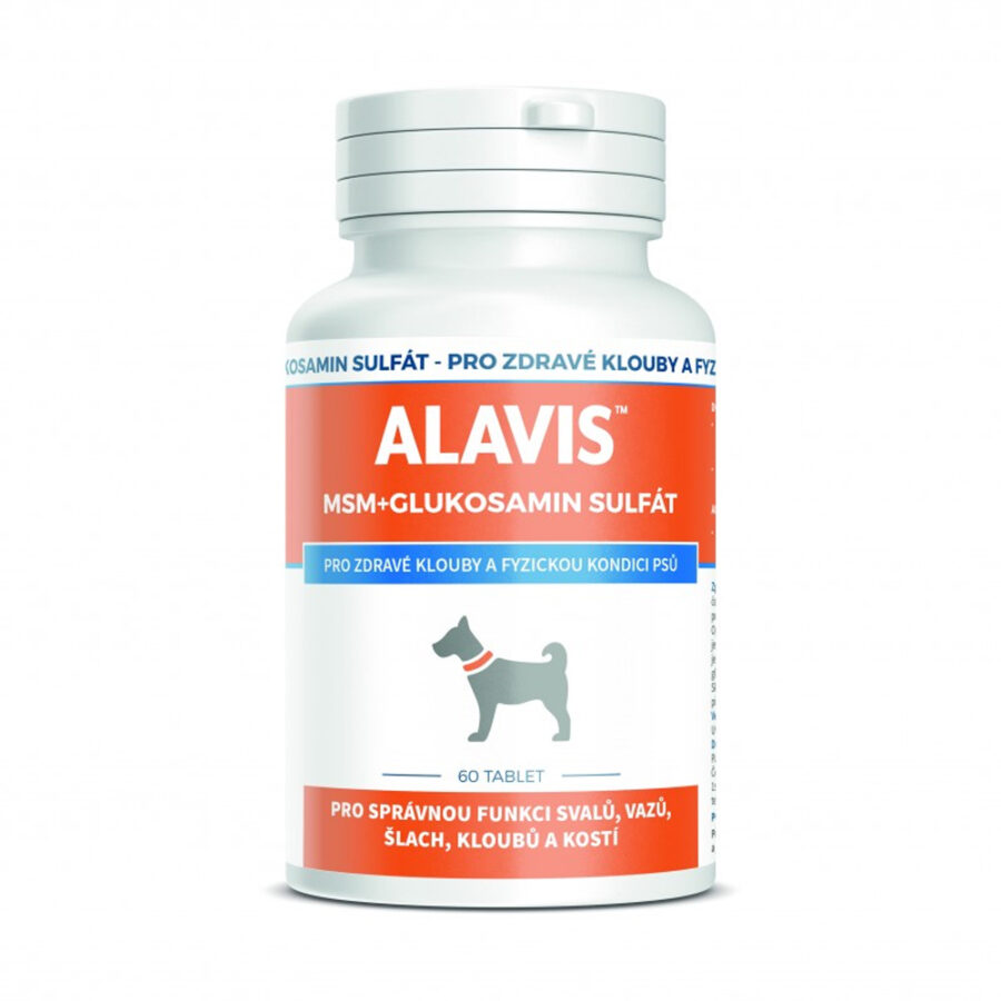 ALAVIS MSM + Glukosamin sulfát 60 tbl.