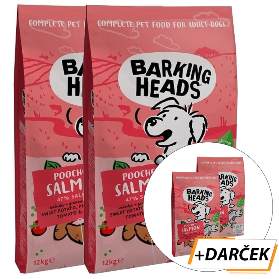 BARKING HEADS Pooched Salmon 2 x 12 kg + 2 x 2 kg