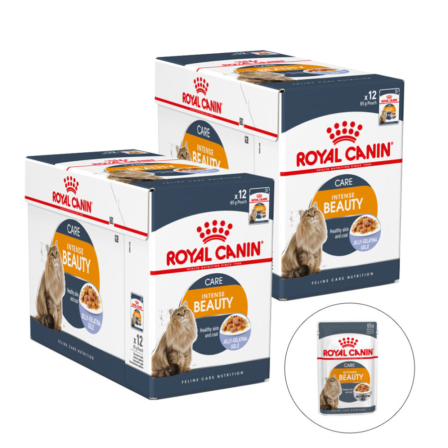 Royal Canin Intense Beauty Jelly 24 x 85 g