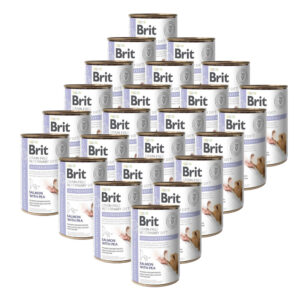 Brit Veterinary Diets GF dog Gastrointestinal 24 x 400 g konzerva