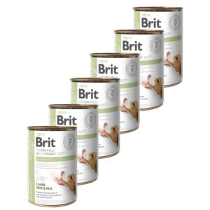 Brit Veterinary Diets GF dog Diabetes 6 x 400 g konzerva