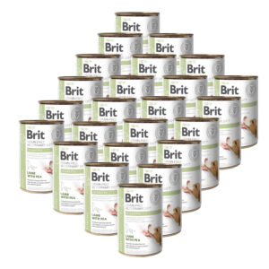 Brit Veterinary Diets GF dog Diabetes 24 x 400 g konzerva