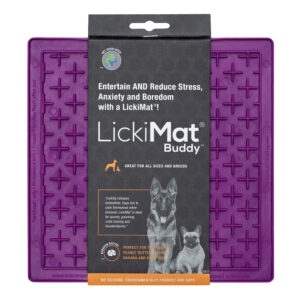 LickiMat Buddy lízacia podložka 20 x 20 cm fialová